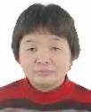 叶*花照片