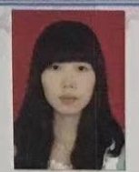 黄*连照片