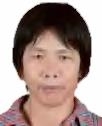 黄*花照片